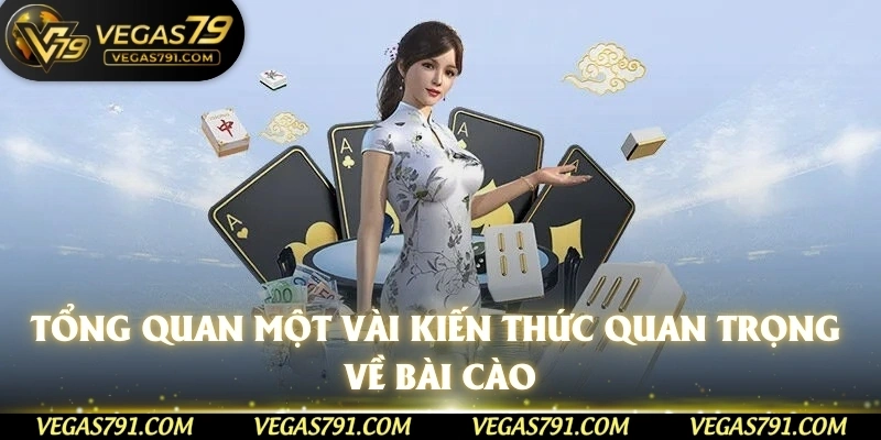 Tổng quan một vài kiến thức quan trọng về bài cào
