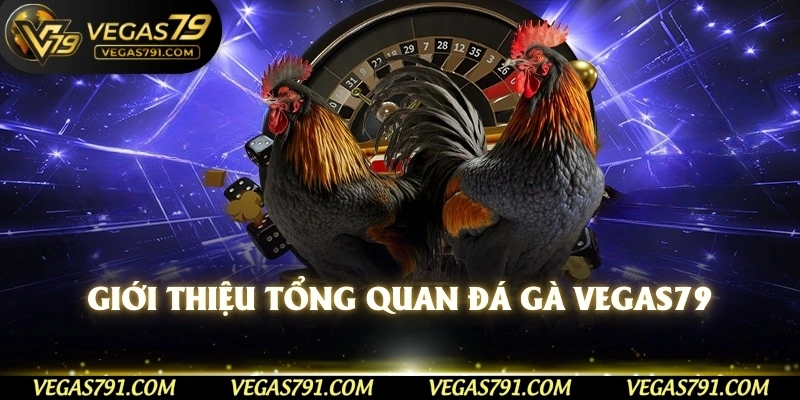 Giới thiệu tổng quan đá gà Vegas79