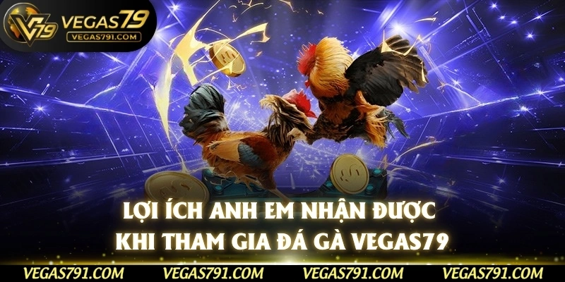 Lợi ích anh em nhận được khi tham gia đá gà Vegas79